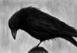 Resultado de imagem para O CORVO