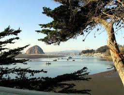 Morro shores inn and suites. Anderson Inn Morro Bay California All Roads North