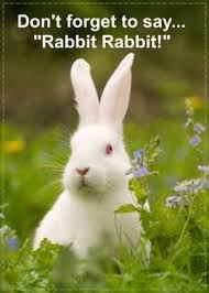 What's the spanish translation of rabbit? Rabbit Rabbit White Rabbit White Rabbit Rabbit Animals White Rabbits