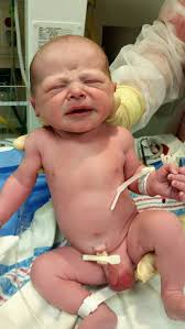 Hilary Venable Obituary