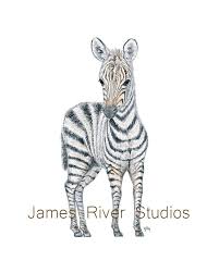 Zebra Art Zebra Painting Zebra Print Zebra Watercolor Painting Animal Watercolor Animal Baby Zebra Nursery Art Zebra Safari Zebra Art Print Resim Etsy