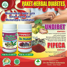 Punca kencing manis semasa mengandung (gdm). Jual Undibet Pipeca De Nature Ampuh Untuk Obat Diabetes Obat Gula Darah Obat Kencing Manis Murah Juni 2021 Blibli