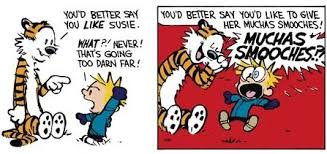 Calvin And Hobbes Da You D Better Say You Like Susie What Never That S Going Too Darn Far Muchas Smooch Calvin And Hobbes Comic Book Cover Sayings