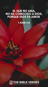 Versiculos Biblicos Sobre El Amor 1 Juan 4 8 Palabra De Dios Biblia Versos De Amor Versiculos Biblicos