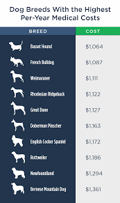 We did not find results for: Pet Ownership Costs Guide For 2021 The Simple Dollar