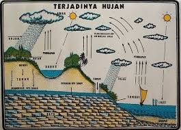 Sedangkan siklus hujan terdiri dari siklus panjang sedang dan pendek. Proses Terjadinya Hujan Brainly Co Id