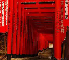 Torii Gates Tunnel In Tokyo Tokyo Inari Japan