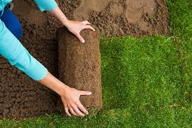 How to take care of your new lawn. How To Lay Sod In 6 Easy To Follow Steps The Garden Glove