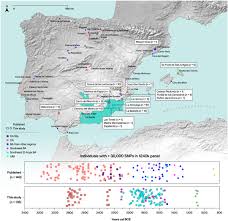 Genomic transformation and social organization during the Copper Age–Bronze  Age transition in southern Iberia | Science Advances