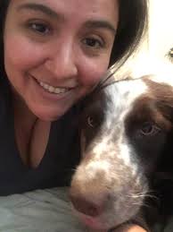 Is it normal for a pet to stop eating?