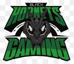 Charlotte hornets logo, charlotte hornets logo, sports, basketball png. Free Transparent Hornets Logo Png Images Page 2 Pngaaa Com