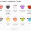 The human tongue is a muscular organ that is covered by a thin mucous membrane. 3