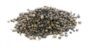 Image result for Brucea