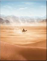 4.6 out of 5 stars. Lawrence Of Arabia 4k Blu Ray 4k Ultra Hd Blu Ray