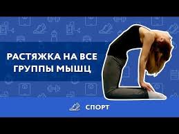 даже очень негибкие люди могут легко сесть на шпагат Pdf Video Samye Effektivnye Uprazhneniya Dlya Rastyazhki Myshc Lajfhaker Rastyazhki Uprazhneniya Joga Dlya Nachinayushih
