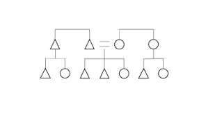 how to draw kinship diagrams the human family