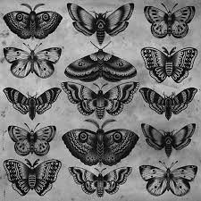 Electric Tattoos Tom Gilmour Moth Tattoo Traditional Butterfly Tattoo Tattoos