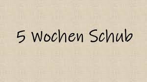 Der erste wachstumsschub erfolgt in der fünften woche, also im zweiten lebensmonat. 5 Wochen Schub Der 1 Entwicklungsschub