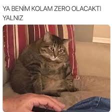 Mi Young Kim Tarafindan Caps Panosundaki Fikir Komik Hayvan Fotograflari Eglenceli Resimler Komik Hayvanlar