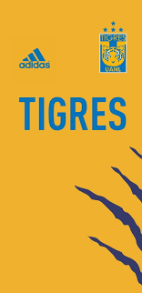 Escudo tigres 7 estrellas redondeado ( fondo de pantalla ). Tigres Femenil Incomparables Tigres Uanl Hd Mobile Wallpaper Peakpx