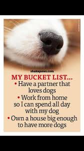 Pin By Night Bird On Dog Dog Quotes Dog Poems Dog Books