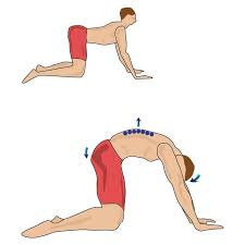 This is an active yoga stretch where you will be increasing blood flow in the spine, neck, hips, abs, and back. Cat Arch Back Stretch Docpods