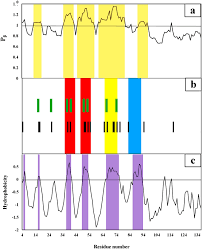Dear freaks i have a new challenge? The Hot Sites Of A Synuclein In Amyloid Fibril Formation Scientific Reports