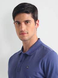 Arrow Sports Purple Cotton Regular Fit Polo T-Shirt