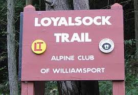 Alpine Club Of Williamsport Loyalsock Trail