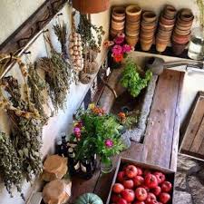 Pin Von Katevanderwoodsen Auf Kitchen Pflanzideen Mini Gartenhaus Gartendekoration