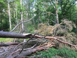 Image result for site:byggahus.se stammar