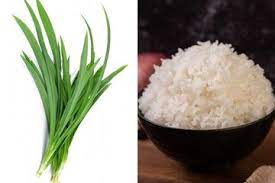 Secubit garam, gula & ajinomoto utk perasa ikot. Nyesel Baru Tahu Ternyata Menambahkan Daun Pandan Saat Masak Nasi Bisa Cegah Penyakit Mematikan Ini Semua Halaman Sajian Sedap