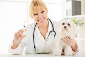 Please call the store for exact opening hours. Pet Clinic Blog Mission Veterinary Clinic And Animal Emergency Hospital