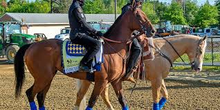Below, the preakness horses are listed in order of post position, with comments by joe drape and melissa hoppert of the new york times. Csz8z0aclzxcqm
