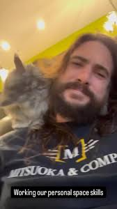 Loki doing #mainecoon things