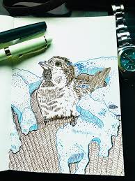 We did not find results for: Fire And Ice Drawing
