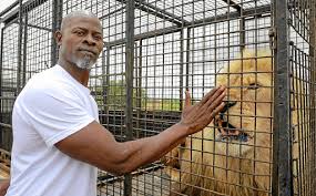 We did not find results for: Djimon Hounsou S Most Intimidating Co Star Vayetse A 200kg Sa Lion