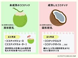 Cham｜マレーシアを暮らすように旅するガイド - ライフスタイリングログ