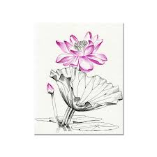 Tanaman dengan daun hijau yang melebar dan mengapung ini sering ditemukan di kolam, rawa, atau danau. Gambar Sketsa Bunga Teratai Berwarna Kata Kata