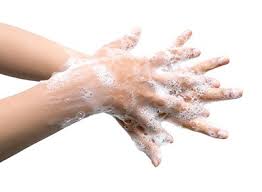 This will kill infectious microbes like, but it won't go. Ringworm Dermatologist In Winter Haven Winter Haven Dermatology
