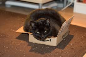 Check spelling or type a new query. Fat Cat In A Little Box She Absolutely Does Not Fit In Thi Flickr