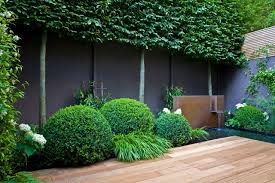 The second photo is my fence. How To Hide An Ugly Garden Fence Houzz Au