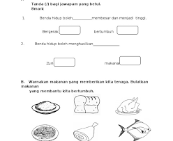 Rajah 1 menunjukkan satu penyiasatan apakah deria yang terlibat dalam penyiasatan ini ? Contoh Soalan Latihan Sains Tahun 6 Malacca C