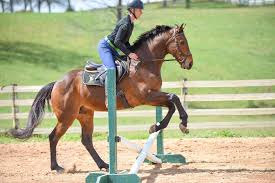 Thoroughbred Logic, Presented by Kentucky Performance Products: Good Grids 