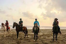 Here S Where You Can Learn Horse Riding In Mumbai Lbb Mumbai Students also learn how to cool out and properly put away you can do the series after a few lessons or start right in with your first lesson.