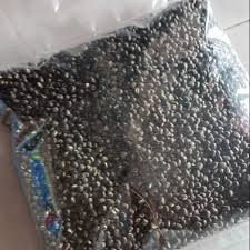 We did not find results for: Kacang Hitam Taugeh Berkualiti Shopee Malaysia