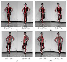 Image result for Balance Error Scoring System