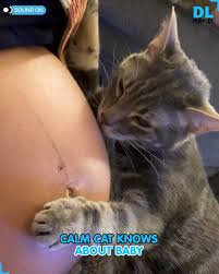 Profile for Nayla Jackson