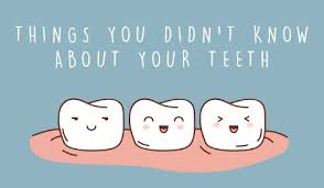 Copyright © 2021 infospace holdings, llc, a system1 company Interesting Facts About Dentistry And Teeth Dentist In Fresno Ca Fresno Dentist General Dentistry Dr Guillermo Donan Dds