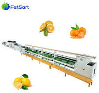 Hot Selling Mandarin/Citrus/Lemon Weight Grading/Sorting Machine Orange  Brush Cleaning Machine